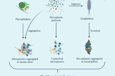 Ambitious targets are needed to end ocean plastic pollution by ...