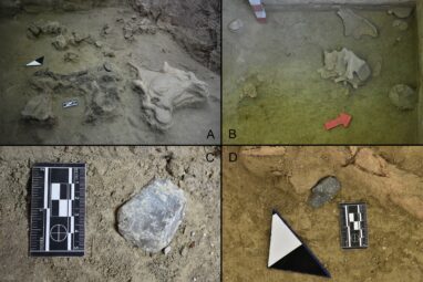 Ancient people hunted now extinct elephants at Tagua Tagua Lake in ...