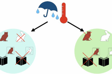 Biogeographical evidence shows trickster animal folklore is ...