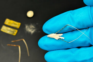 Biohybrid robot made from flour and oats could act as a ...