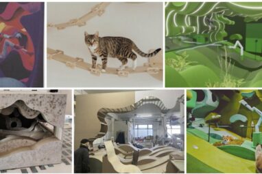 Cat collaboration demonstrates what it takes to trust robots