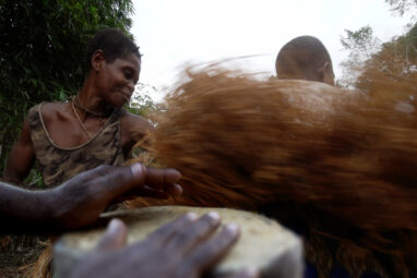 Cultural and linguistic networks of central African hunter ...