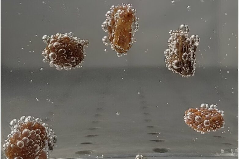 Dancing' raisins: A simple kitchen experiment reveals how objects ...