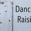 Dancing' raisins − a simple kitchen experiment reveals how ...