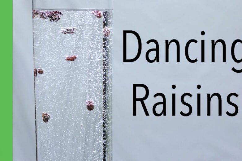 Dancing' raisins − a simple kitchen experiment reveals how ...