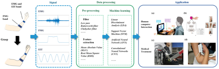 Biosensors | Free Full-Text | A Review of EMG-, FMG-, and EIT ...