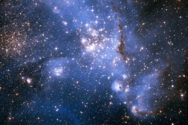 First detection of magnetic massive stars outside our galaxy