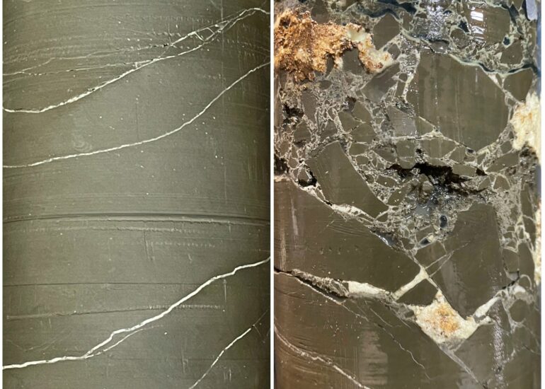 Fossilizing' cracks in infrastructure creates sealing that can ...