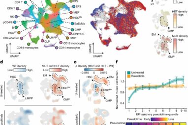 GoT-ChA: New tool reveals how gene mutations affect cells