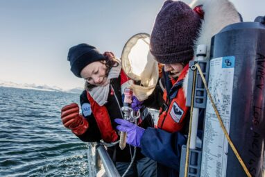 How heat waves are affecting Arctic phytoplankton