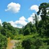 Increasing drought puts the resilience of the Amazon rainforest to ...