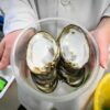 Mussels downstream of wastewater treatment plant contain radium ...