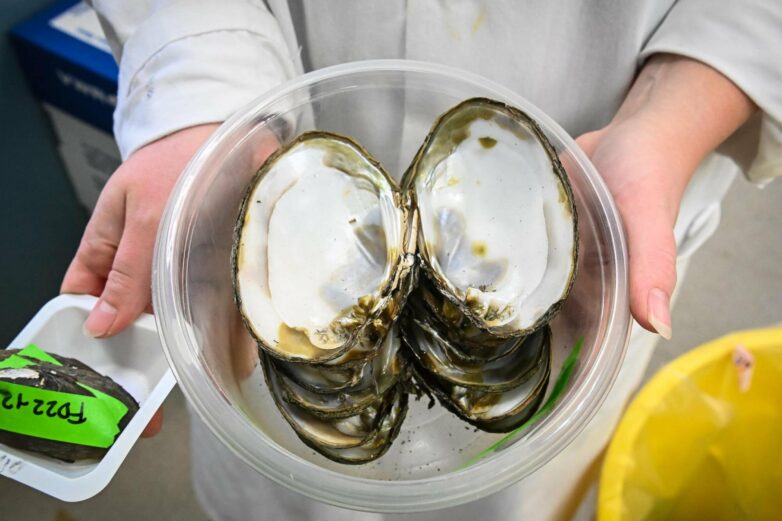 Mussels downstream of wastewater treatment plant contain radium ...