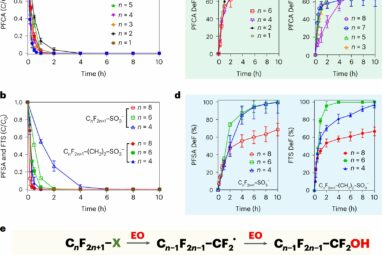 New 'forever chemical' cleanup strategy discovered