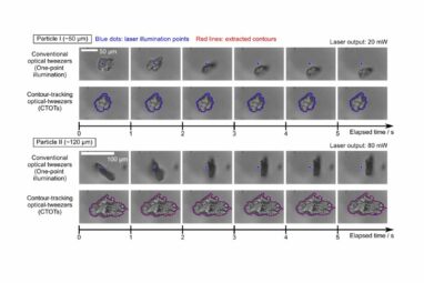 New optical tweezers can trap large and irregularly shaped particles