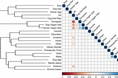 New research addresses alleged benefits of a vegan diet for dogs