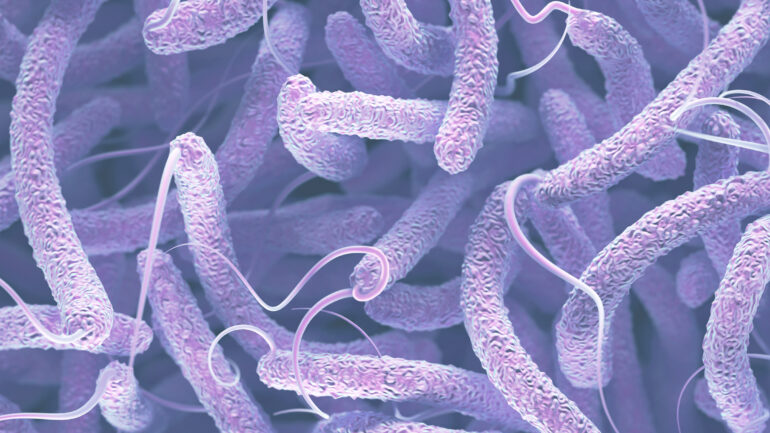 Persistent Strain of Cholera Defends Itself Against Forces of ...