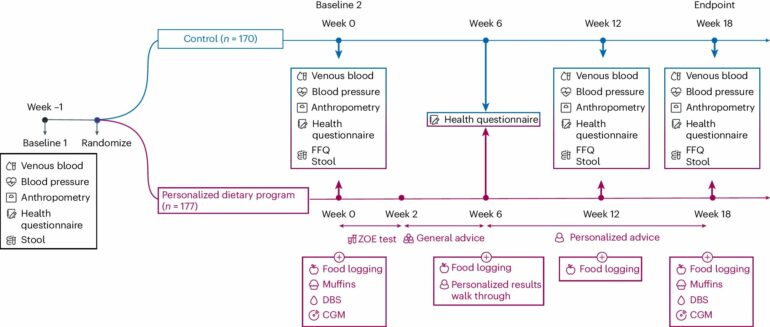 Personalized nutrition more effective than general diet advice ...