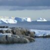 Record low Antarctic sea ice 'extremely unlikely' without climate ...