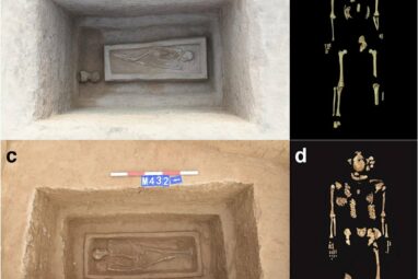 Remains of two men from central China shed light on ancient ...