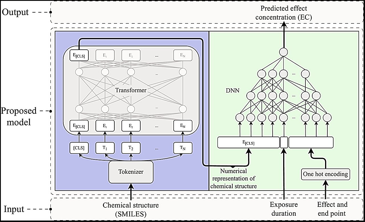 Researchers Detect Toxic Chemicals In Aquatic Organisms With New Ai 