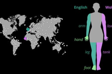 Researchers develop algorithms to understand how humans form body ...