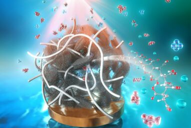 Researchers develop new electrode binder material for high ...