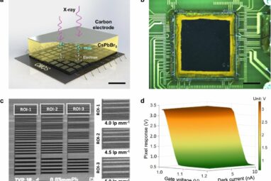 Researchers develop perovskite X-ray detector for medical imaging