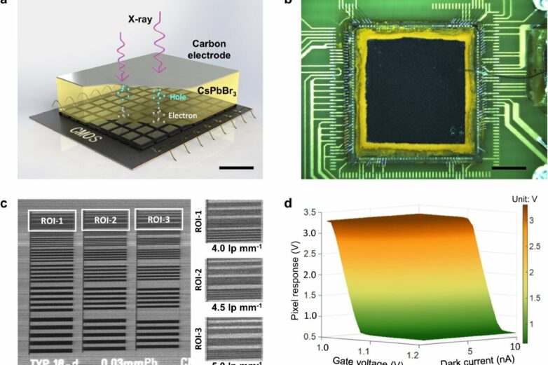 Researchers develop perovskite X-ray detector for medical imaging