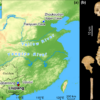 Revised dating of the Liujiang skeleton renews understanding of ...