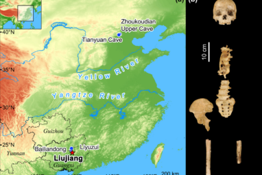 Revised dating of the Liujiang skeleton renews understanding of ...