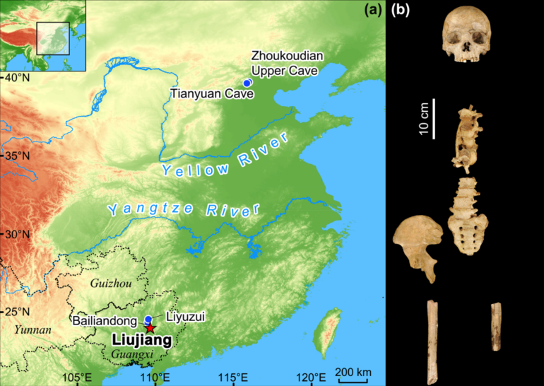 Revised dating of the Liujiang skeleton renews understanding of ...