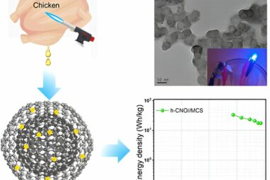 Scientists convert chicken fat into energy storage devices