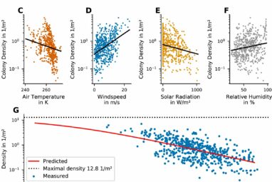 Scientists count emperor penguins in the Antarctic to investigate ...