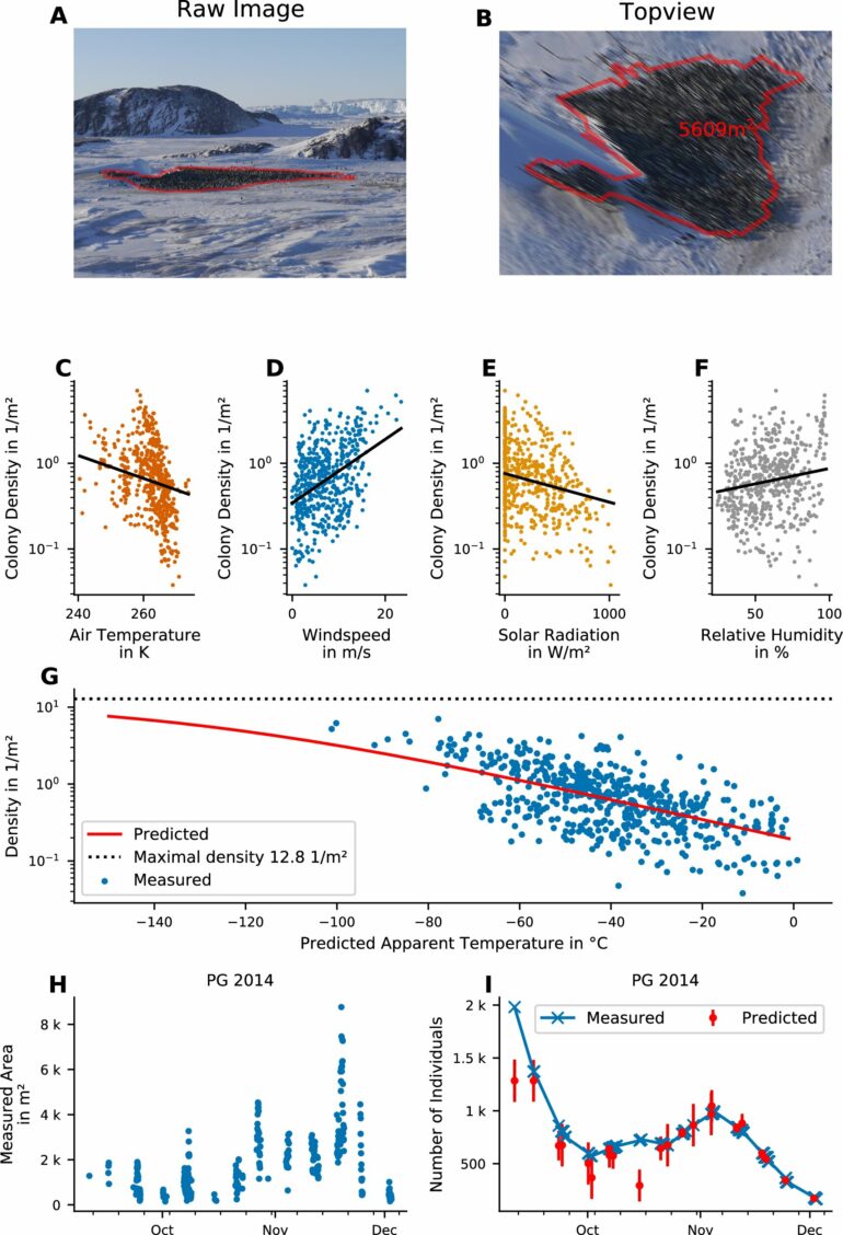 Scientists count emperor penguins in the Antarctic to investigate ...