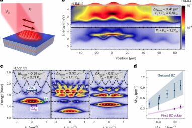 Scientists create an 'optical conveyor belt' for quasiparticles