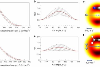 Scientists help unravel life's cosmic beginnings