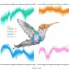 Small birds boast range of flight styles thanks to evolutionary edge