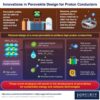 Solving the Problems of Proton-Conducting Perovskites for Next ...