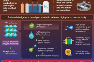 Solving the Problems of Proton-Conducting Perovskites for Next ...