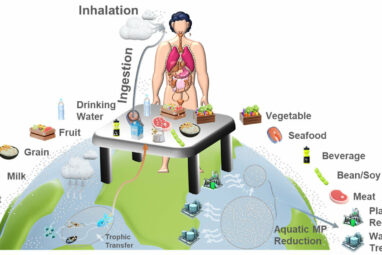 Study maps human uptake of microplastics across 109 countries