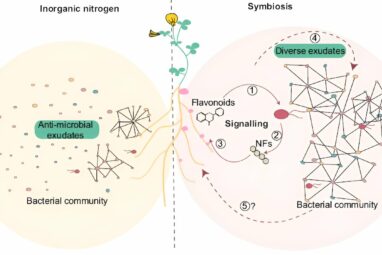 Study reveals key role of plant-bacteria communication for ...