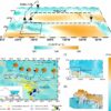 Study reveals late Pleistocene island weathering, precipitation in ...