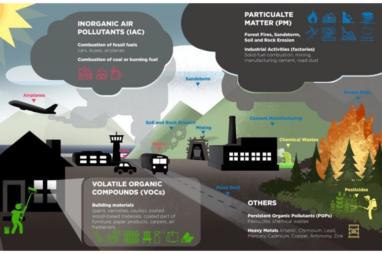 Environments | Free Full-Text | Phytoremediation: The Sustainable ...