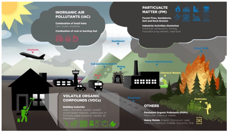 Environments | Free Full-Text | Phytoremediation: The Sustainable ...