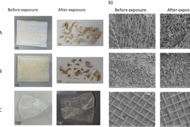 Study suggests 'biodegradable' teabags don't readily deteriorate ...