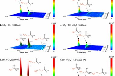 Sulfur molecules from space may have seeded early life on Earth