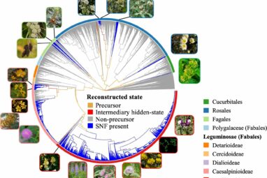 Symbiosis study exposes new 'origin' theories, identifies ...