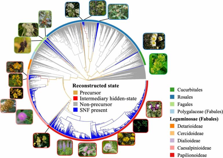 Symbiosis study exposes new 'origin' theories, identifies ...