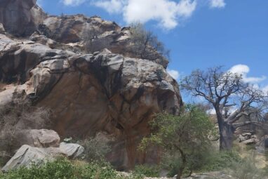 The first lithic study of level VI-B at the Mumba site in Tanzania ...
